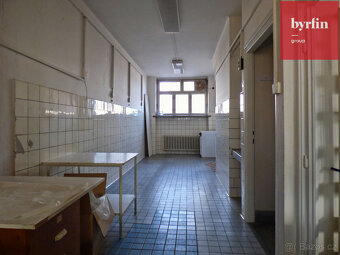 Pronájem komerčních prostor Opava - 8