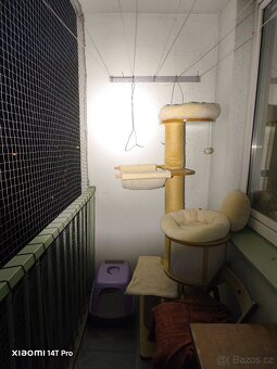 LED baterka Convoy S26a 4000 lumen - 8