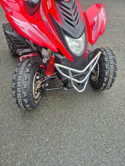 DINLI S 350 MASAI SPZ - 8