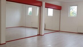 Obchodní prostory pronájem - 8