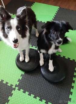 Barevná puzzle podlaha - 8