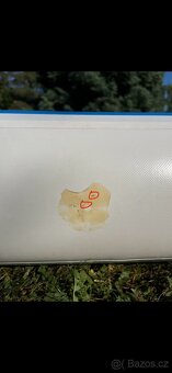 Airtrack GymRex 600 x 100 x 20 cm - 8