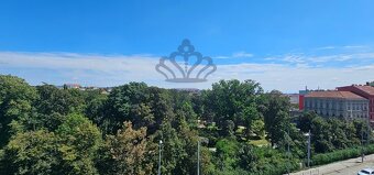 NABÍDKA PRONÁJMU LUXUSNÍHO BYTU 2+KK, BRNO – STŘED - 8