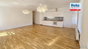 Pronájem nadstandardního bytu 3+kk, 73 m2 s výhledem na radn - 8