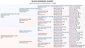 Roční American Quarter Horse black klisna, vnučka Gunnera - 8