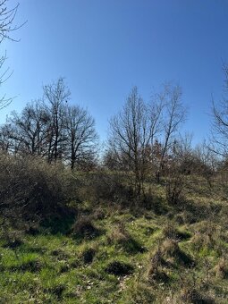 Prodám pozemky v katastrálním území Jevišovice - 8