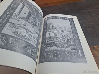 Obrazový atlas hermatismu , Zadrobílek - 8