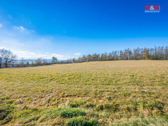 Prodej louky, 11767 m², Benešov - 8