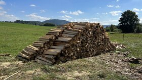 Štípané palivové dřevo - dovoz zdarma (Jižní Čechy) - 8