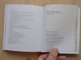 V. Hrabě - BLUES PRO BLÁZNIVOU HOLKU A JINÉ BÁSNĚ - 8
