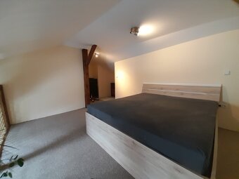 Pronájem bytu 1+kk, 52m2 - 8