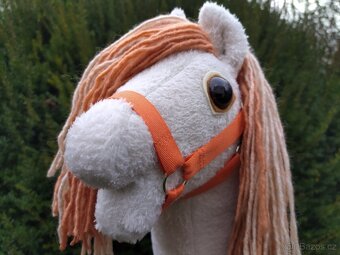 Hobby horse - 8