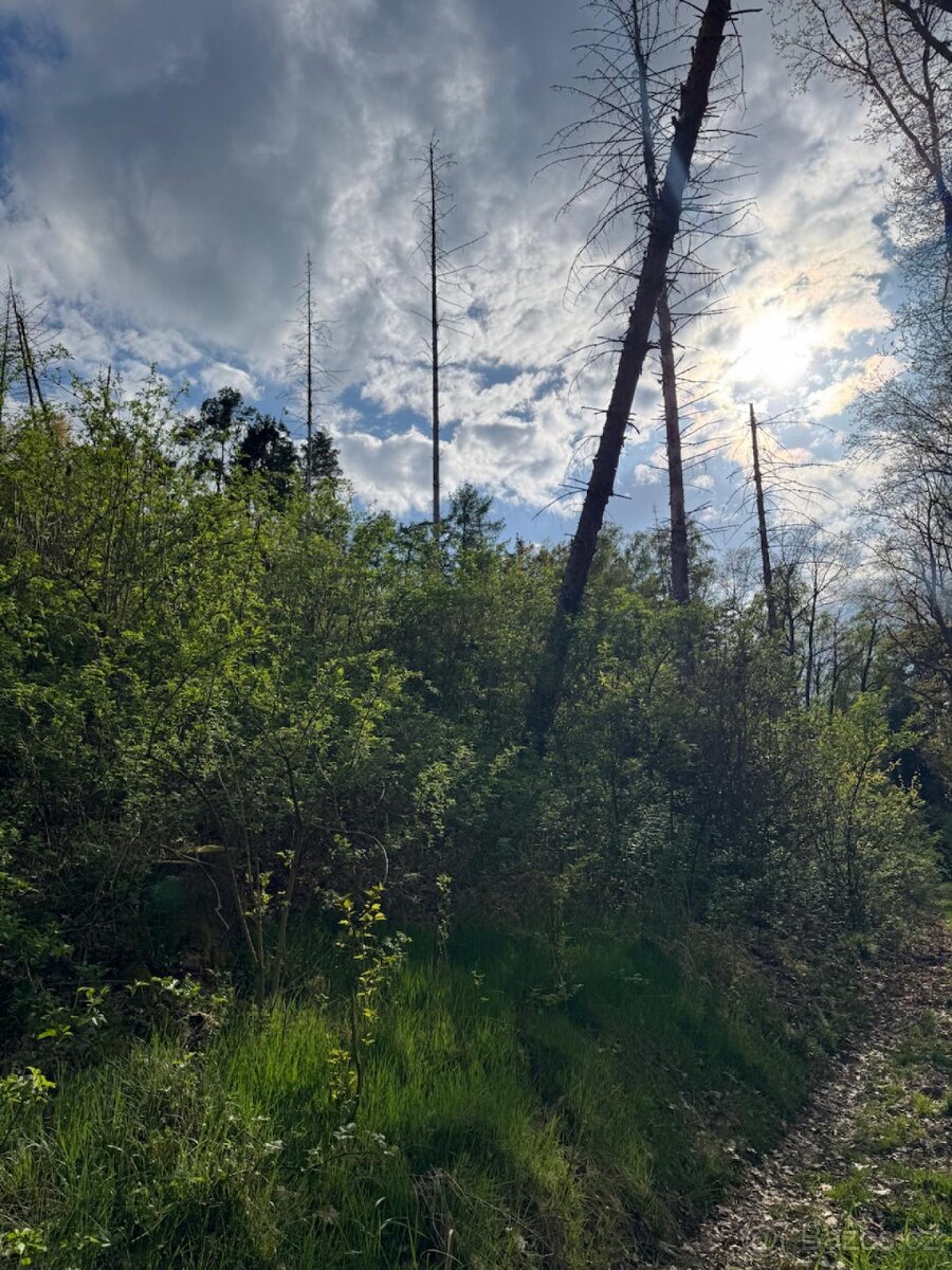 Prodám pozemky v katastrálním území Zahorčice u Vrábče - 9