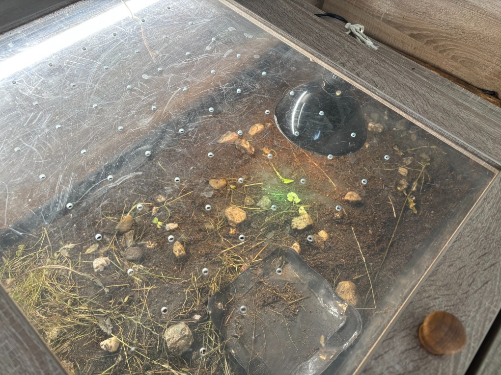 Terarium 80x190x80 cm - 9