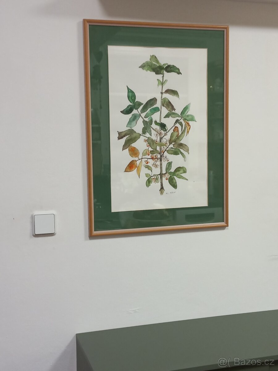 Obraz akvarel III - 9