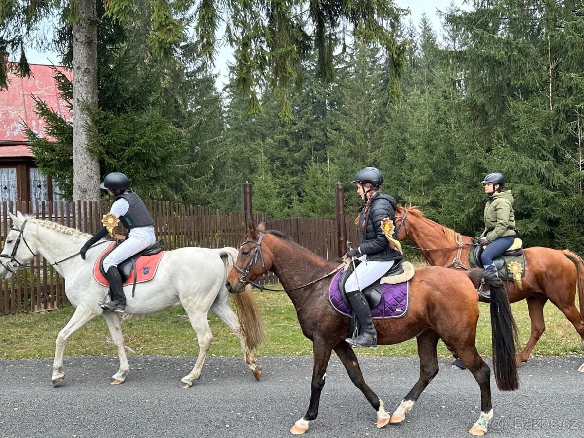 Dva koně pro začátečníky - 9