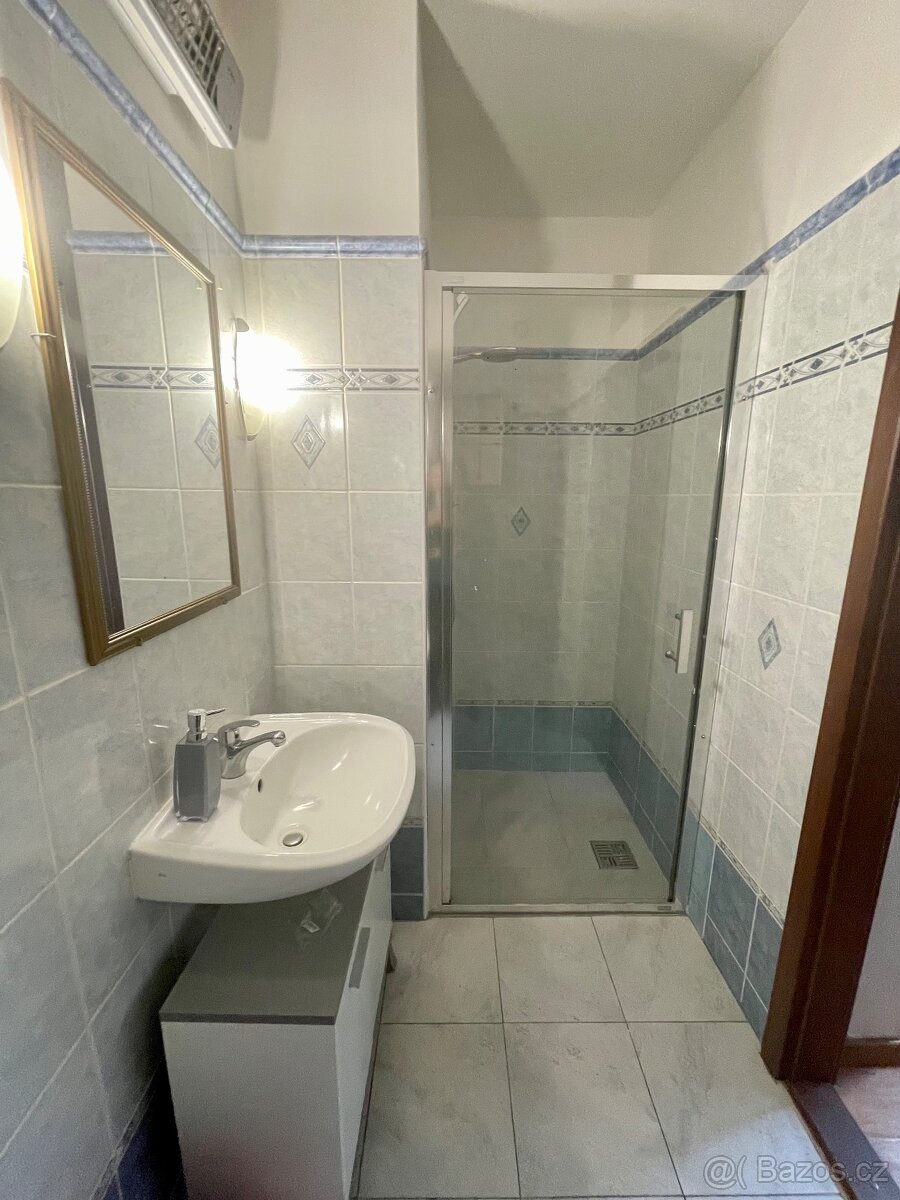 Pronájem bytu 2+1 - 9