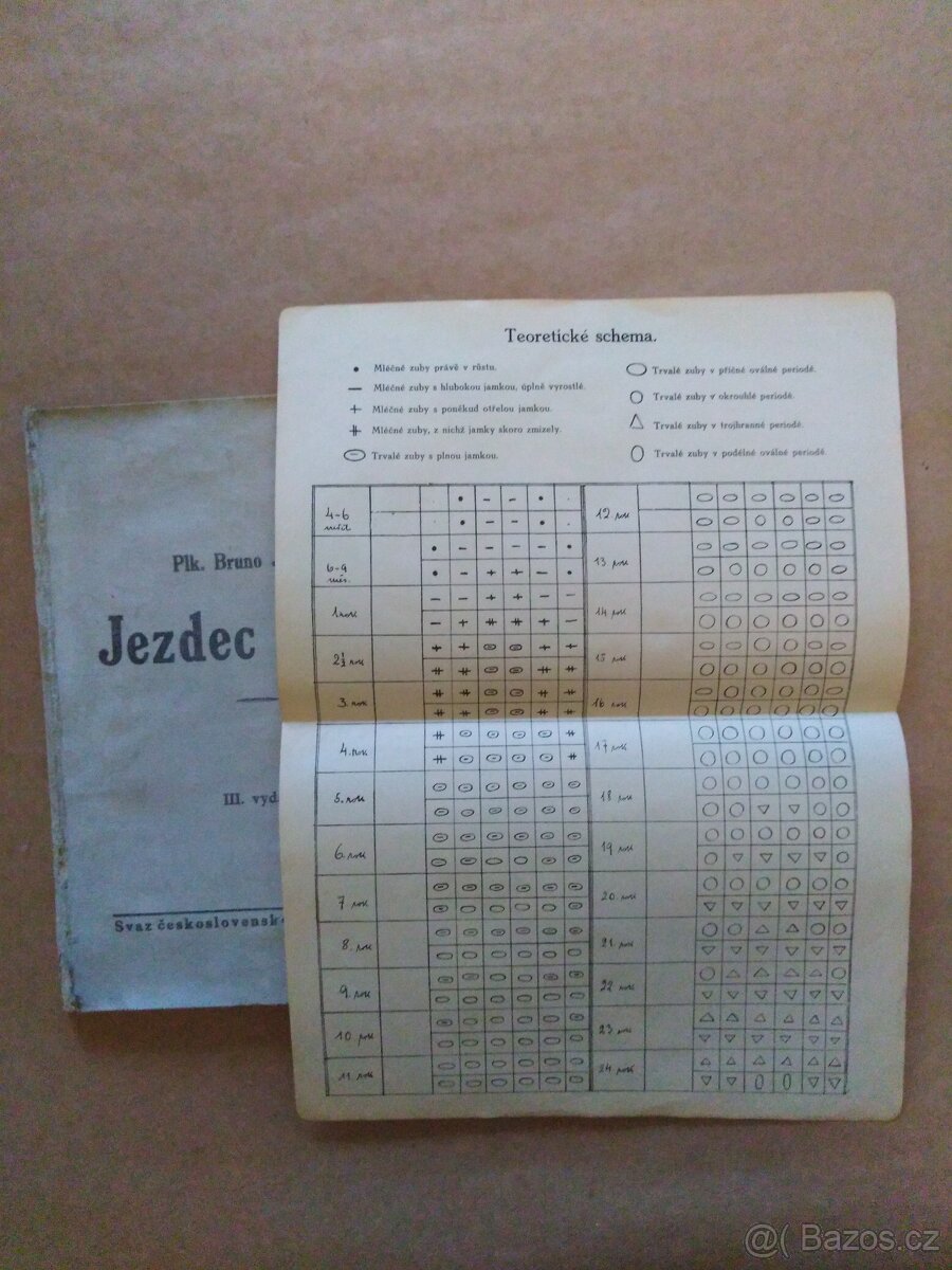 Jezdec a kůň - Bruno Jaksch (1937) - 9