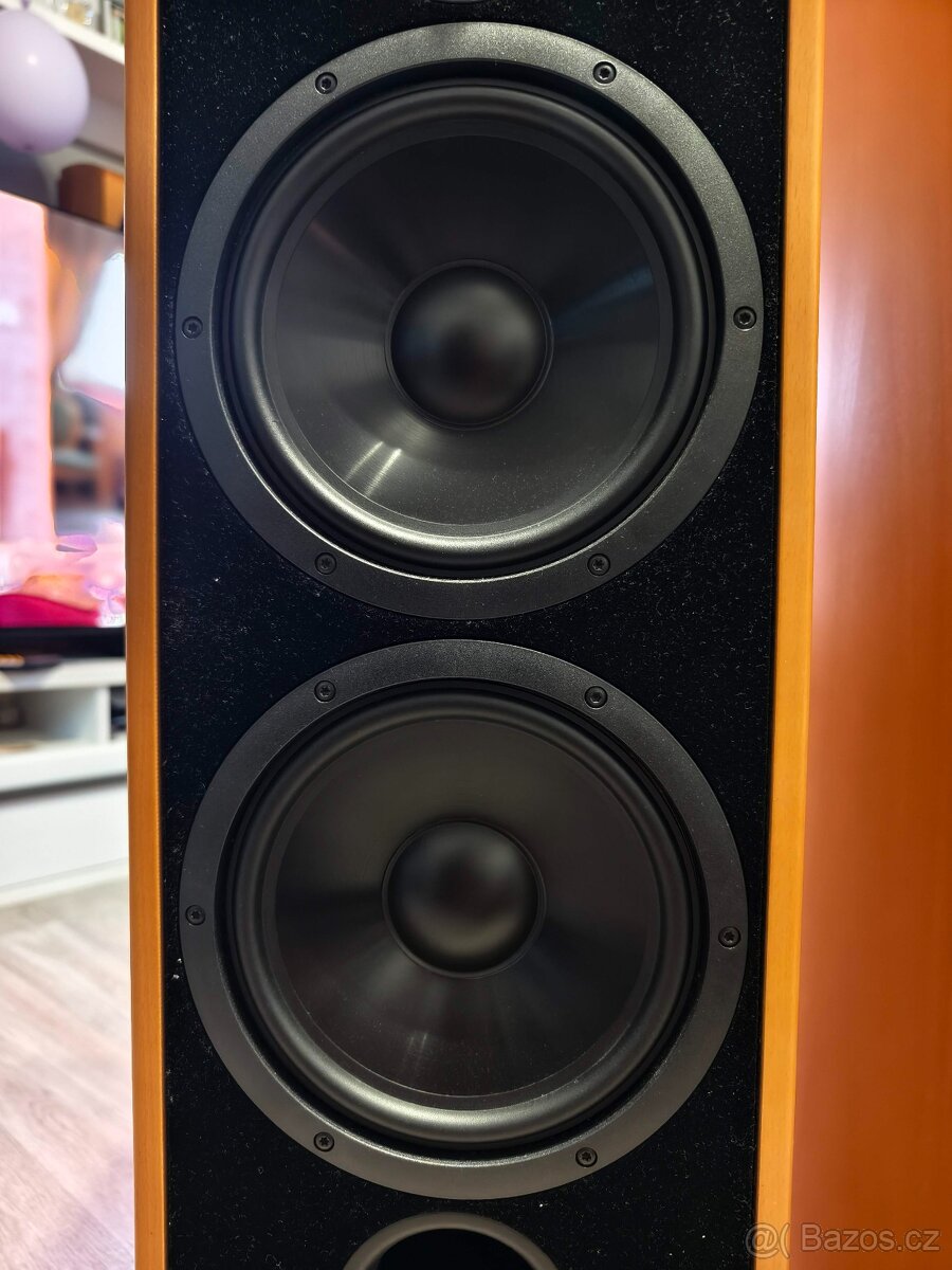 Canton Ergo RC-L včetně Control Unit - 9