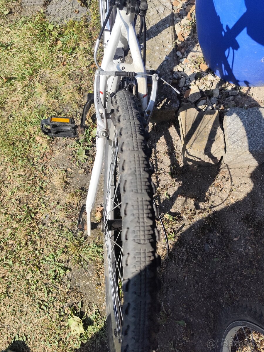 Prodej kola Author a Jupiter - 9