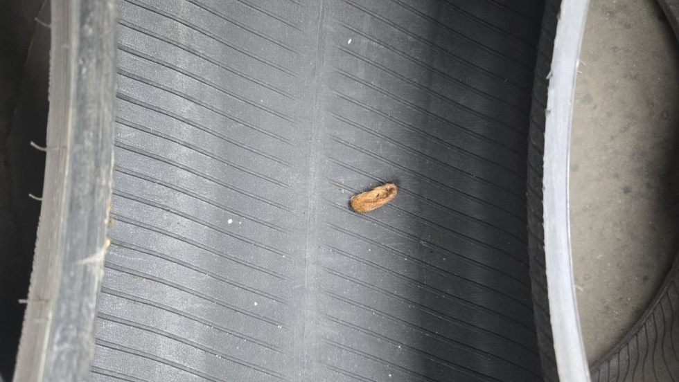 Letní pneumatika 215/55/17 Bridgestone - 9