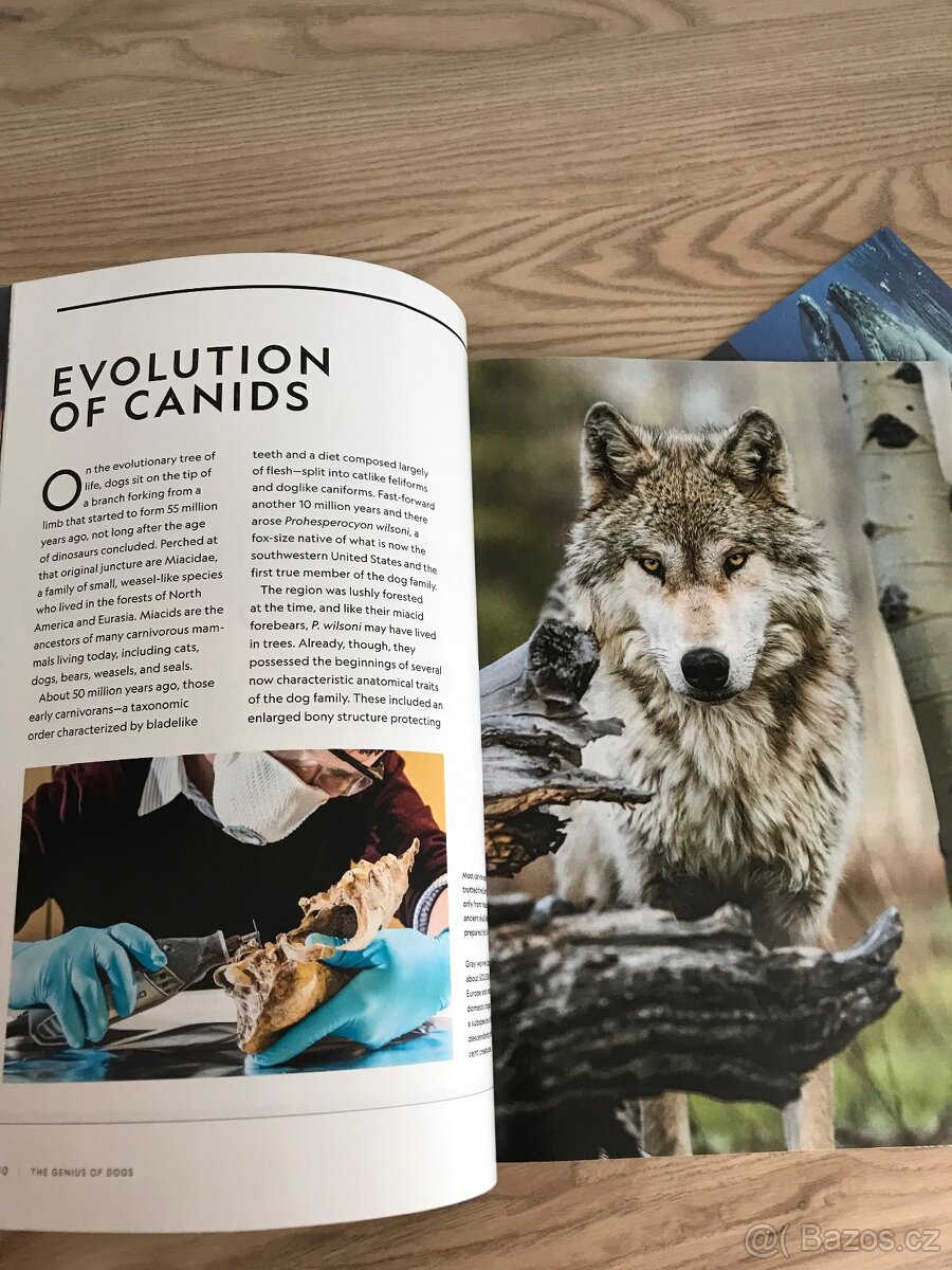 3x National Geographic /2x US vydání a 1x CZ vydání/ - 9