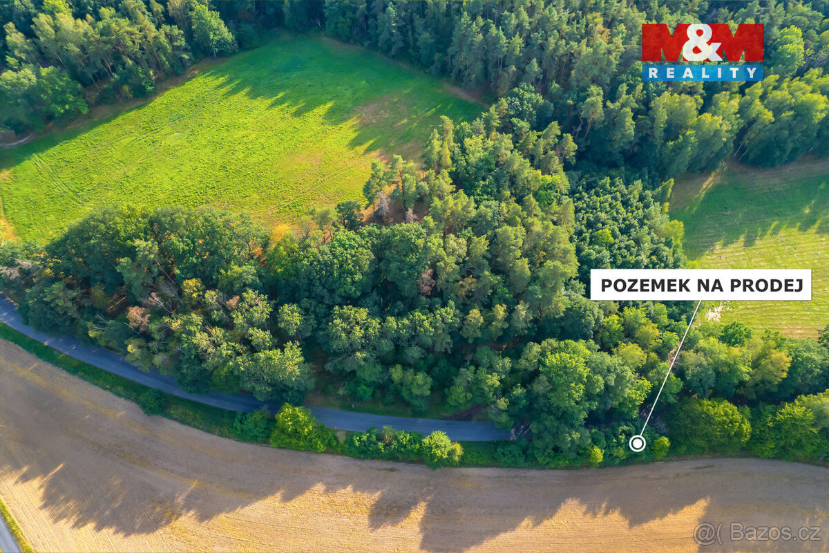 Prodej louky, 2833 m², Dubá - Dřevčice - 9