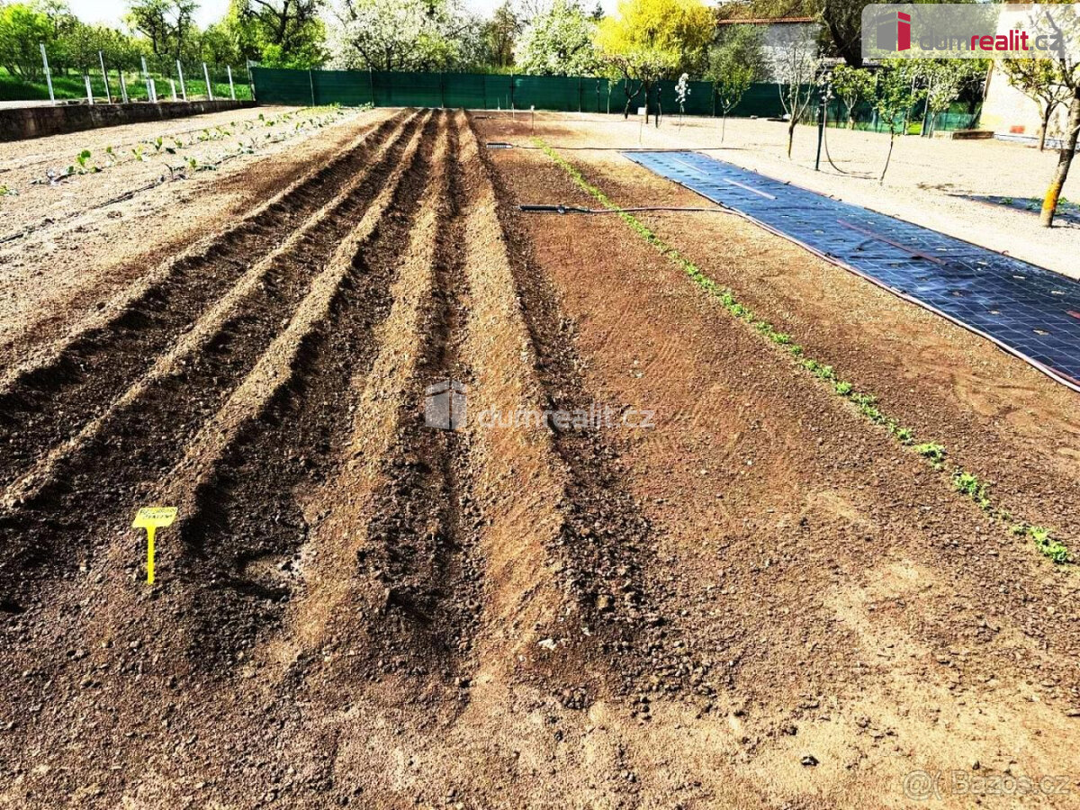 Vesnická usedlost - statek ve výborném stavu 281/3071 m2 - 9