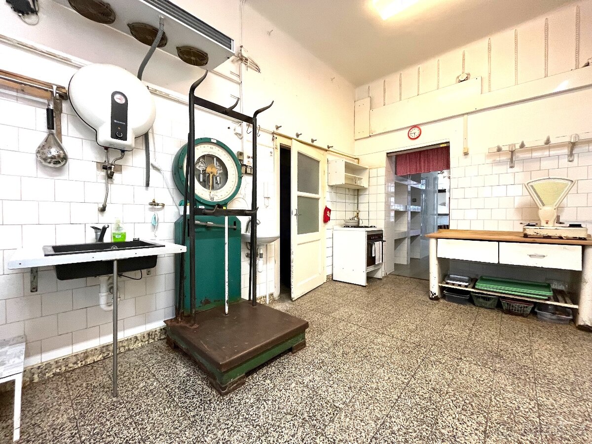 Obchodní prostor Gorkého - 9