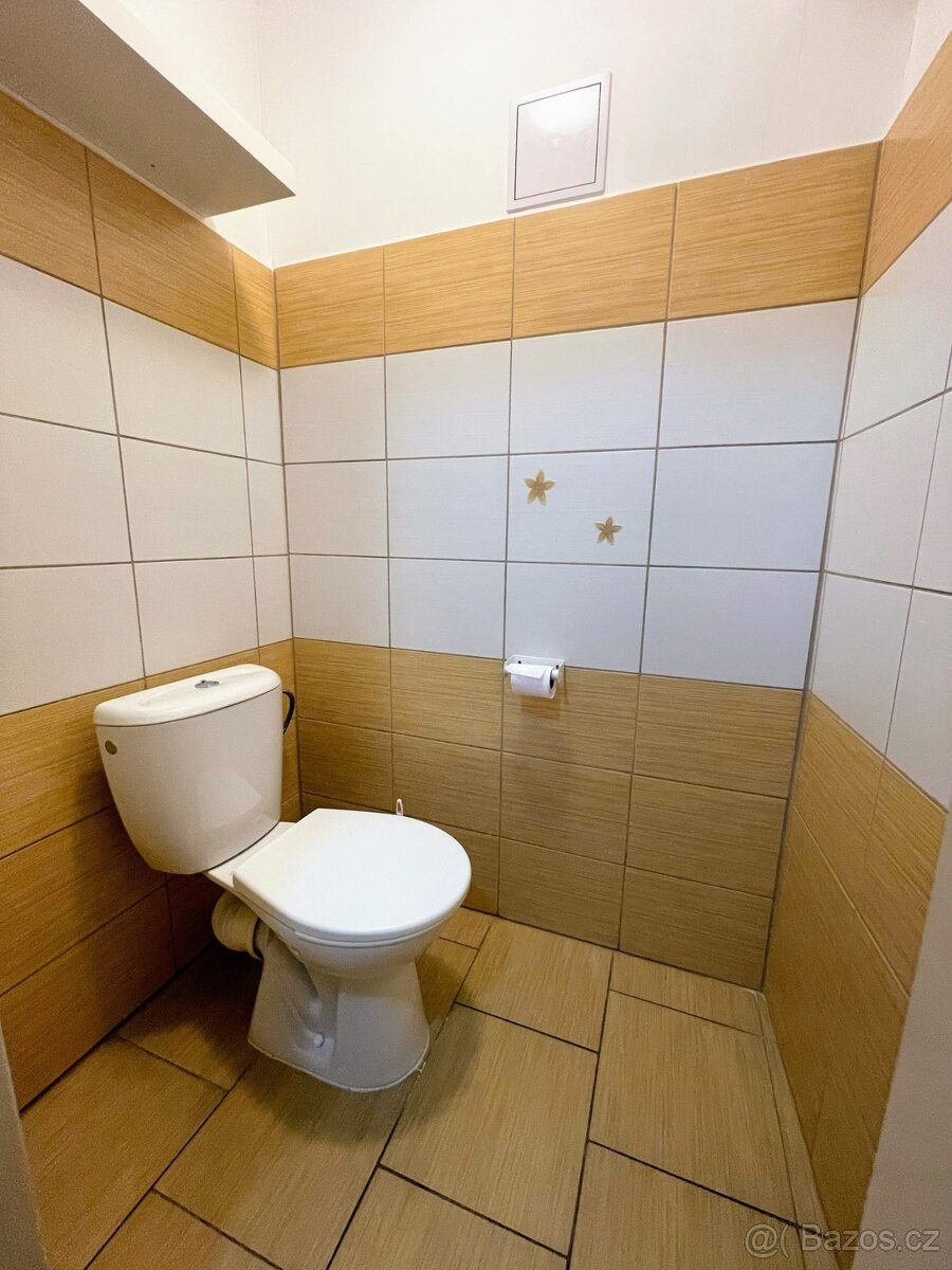 Pronájem komerčních prostor v České Lípě - 9