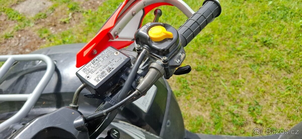 HONDA TRX 650 RINCON - 9