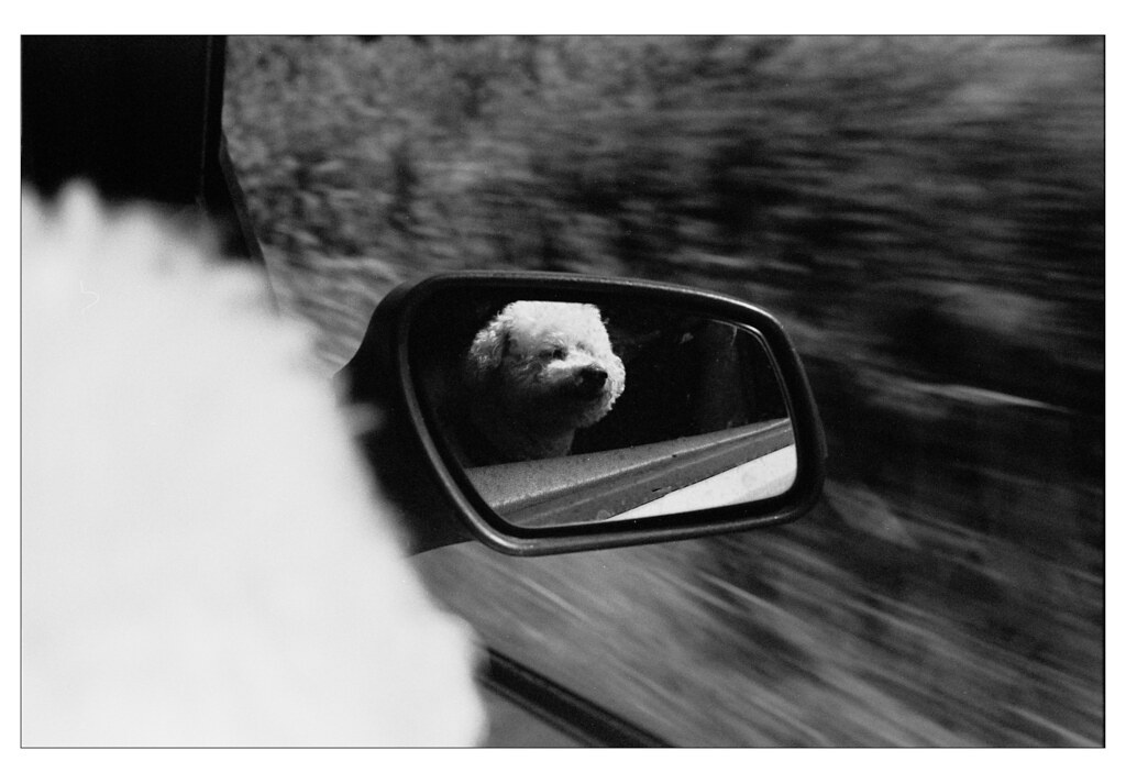 Leicaflex SL2 "50 Jahre" - 9