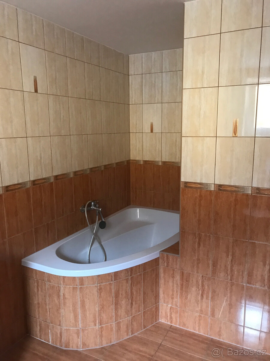 Dlouhodobý pronájem bytu 1+kk v Olomouci Bělidlech - 9