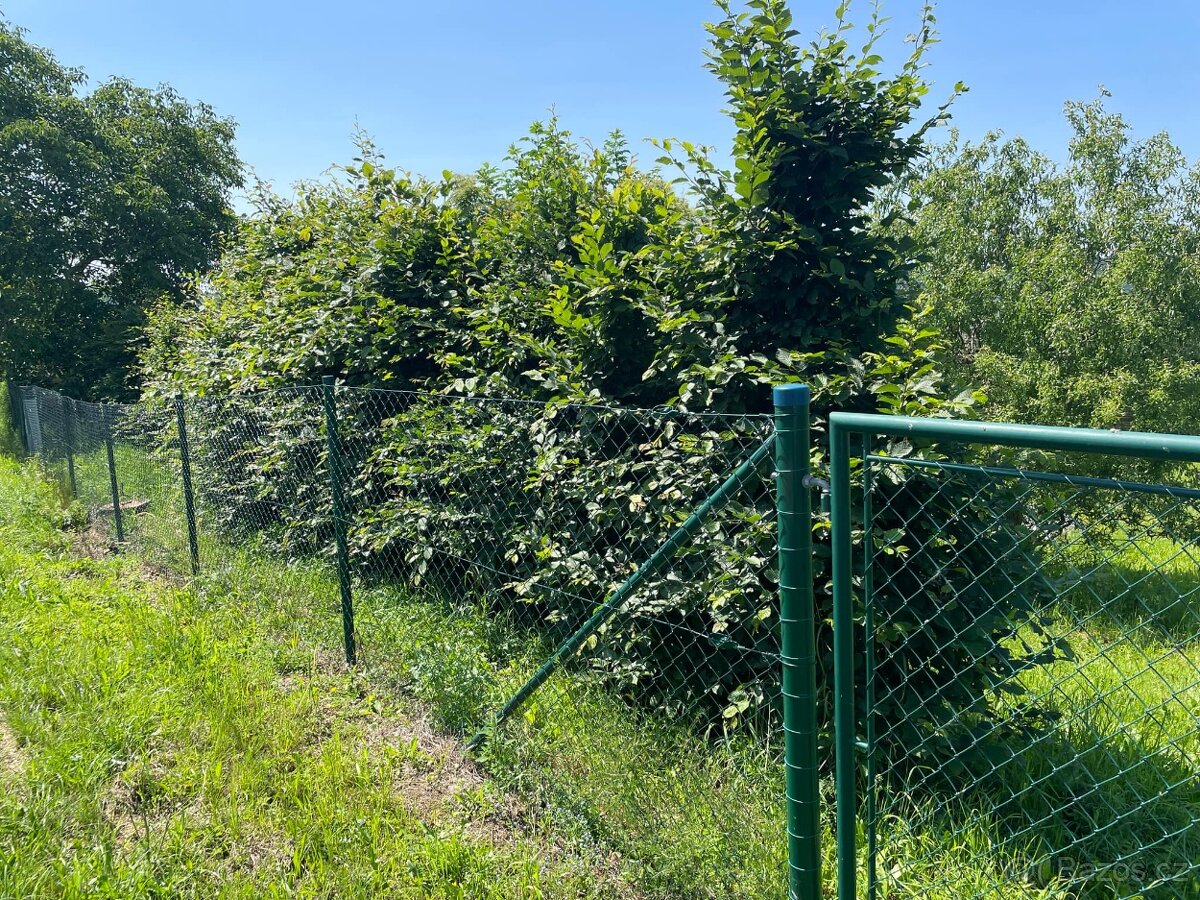 Stavební pozemek 1660 m² Petkovy, Mladá Boleslav - 9