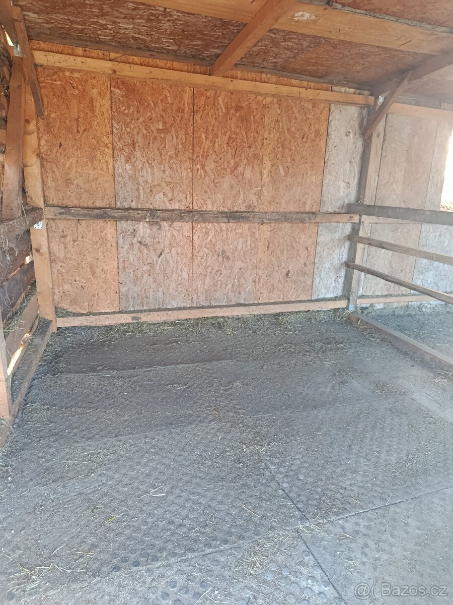 Pastevní ustájení - 9