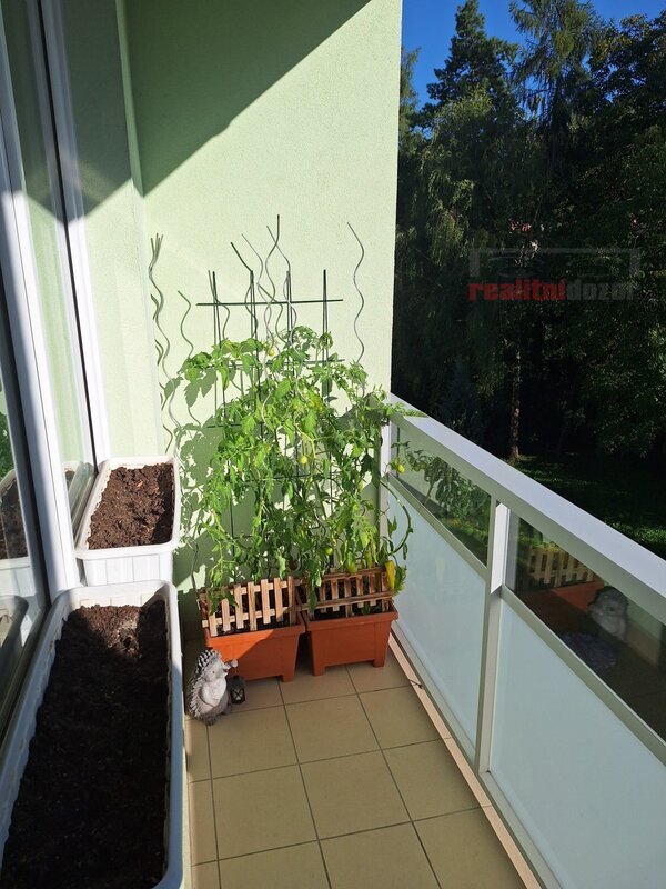 Prodej bytu v OV 2+1 s lodžií, šatnou a sklepem ul. Jakuba O - 9