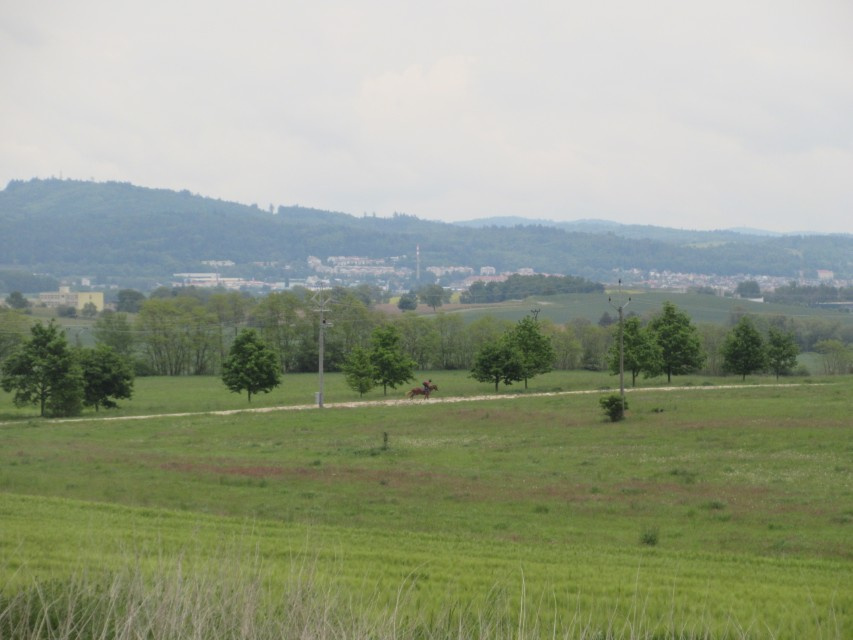 NA PRODEJ - POZEMKY 2.006 m2, BOŠOVICE U ČÍŽOVÉ (PÍSECKO) - 9