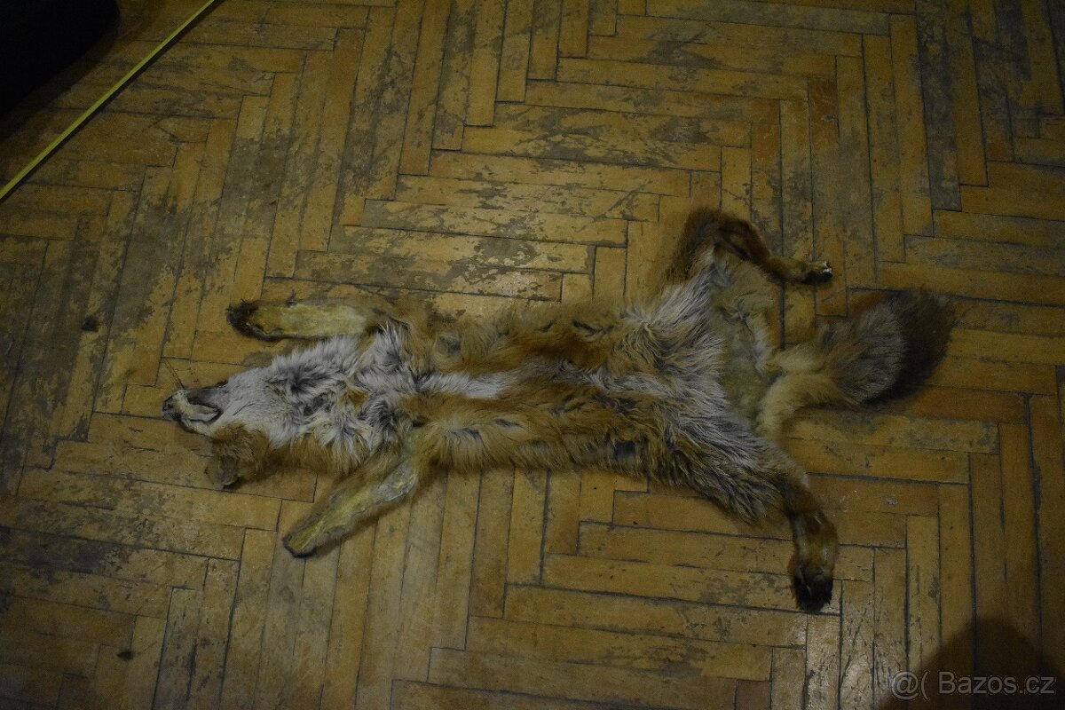 Kožešina liška - 9