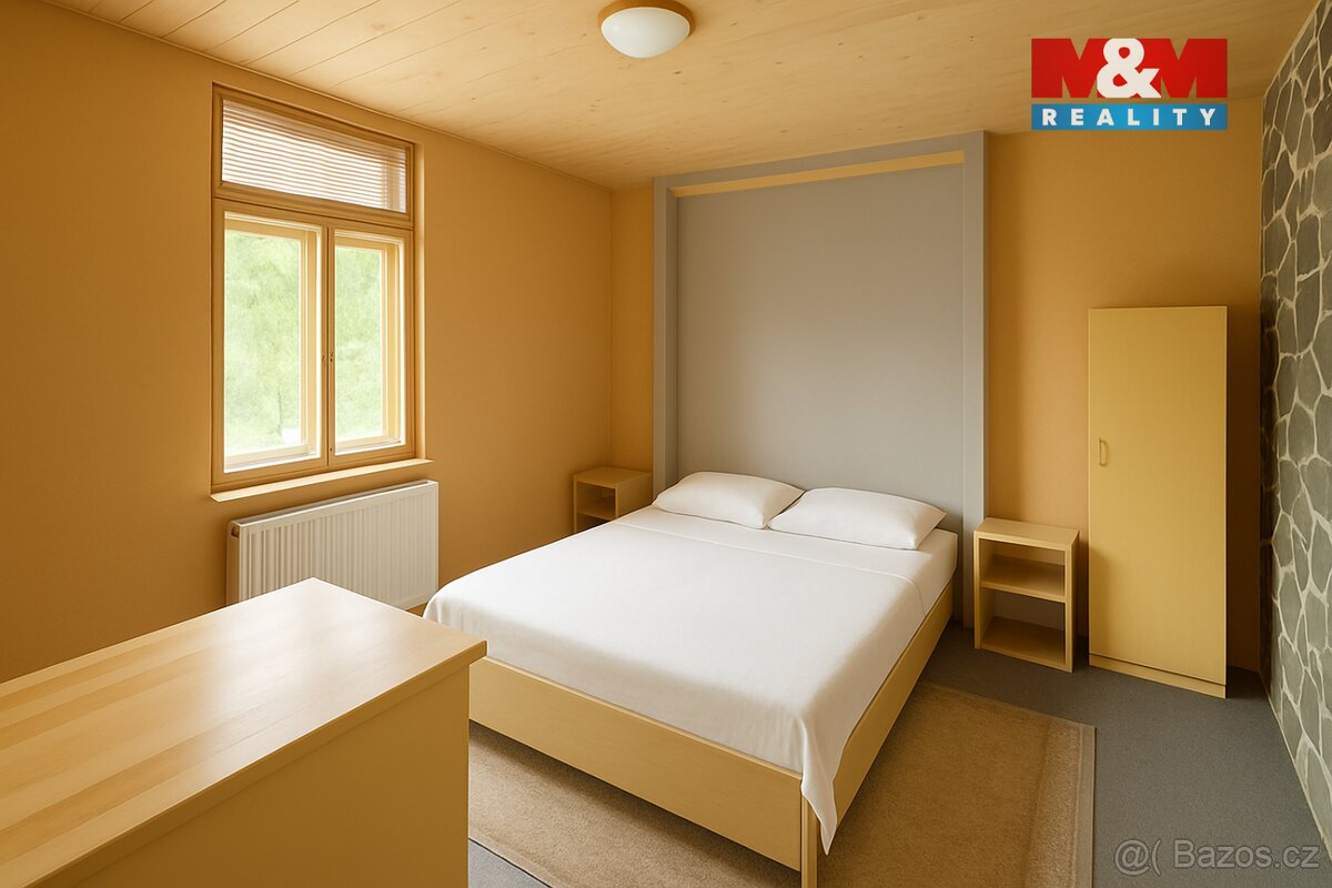 Prodej rodinného domu, 650 m², České Velenice - 9