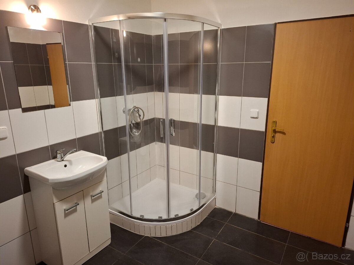 Pronájem bytu 1+kk 32,6m² - 9