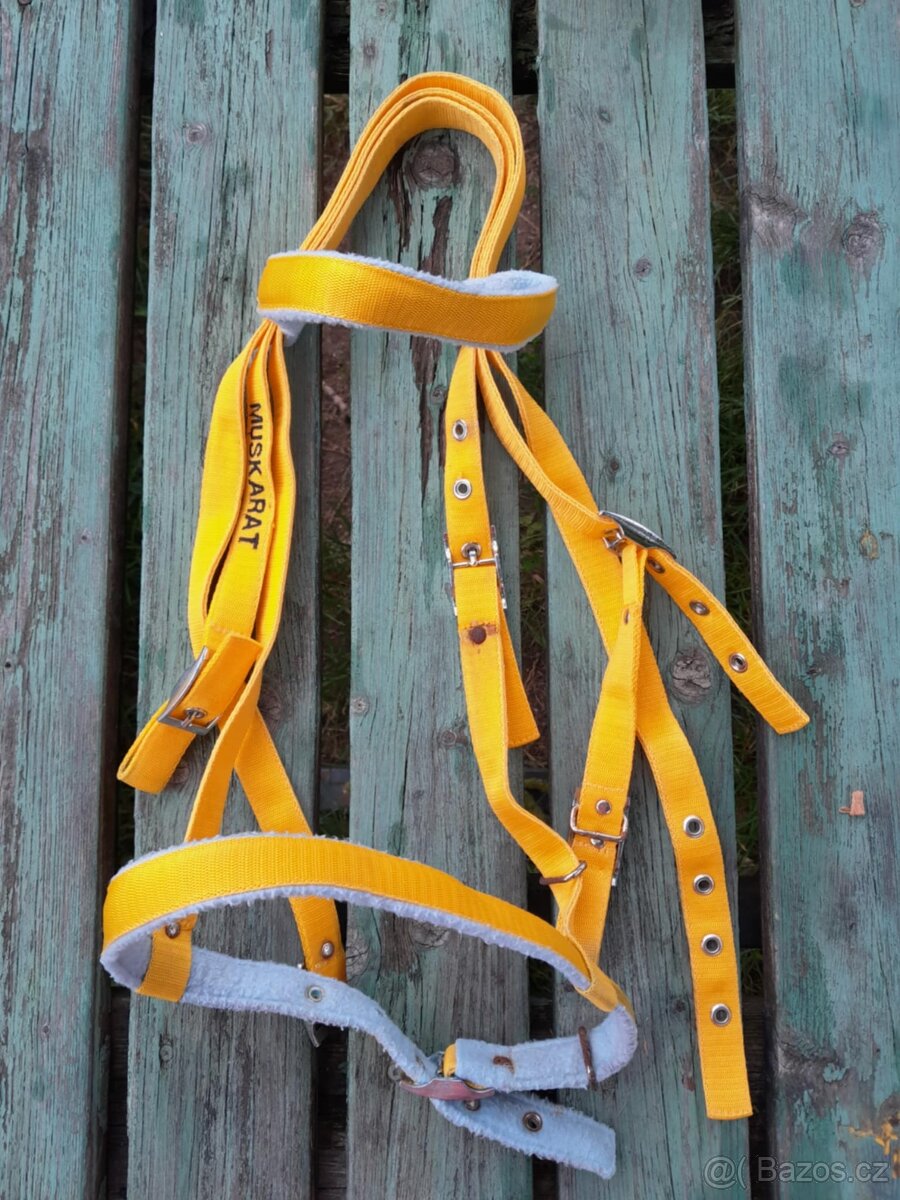 Korekční beránek a další cajky - 9