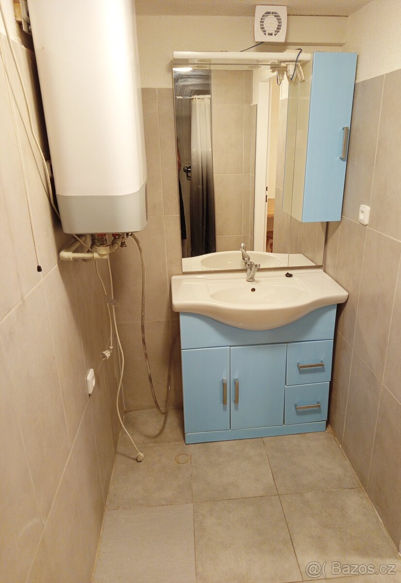 Byt 1+1 (cca. 45 m2)+ zahrada, Pkzeň, Slovany - 9