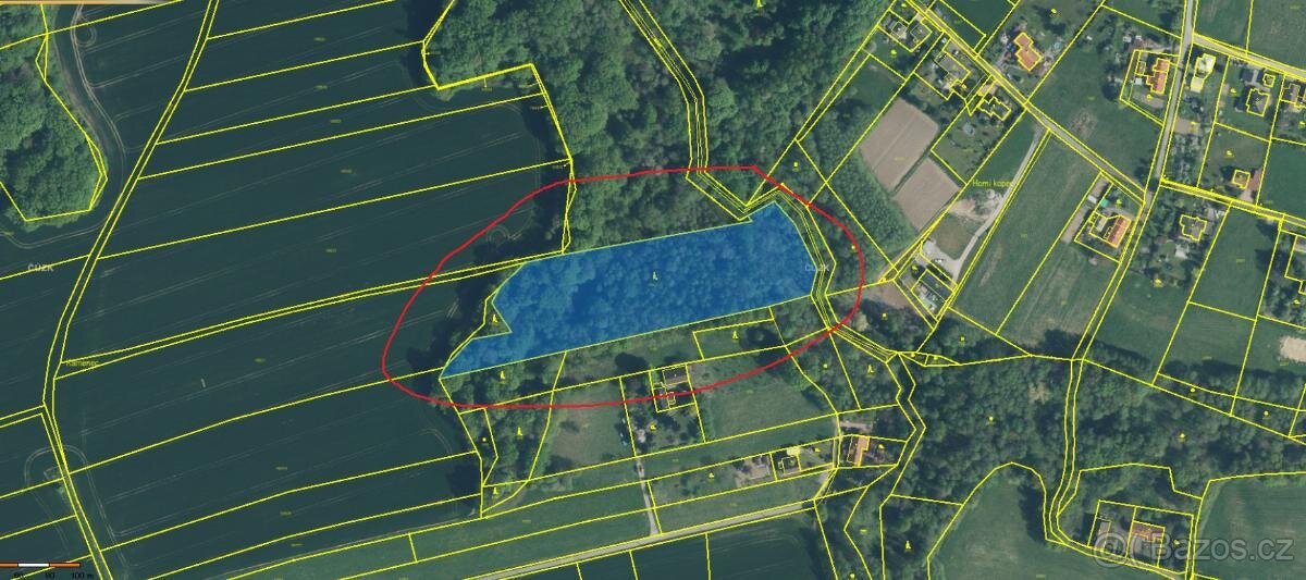 Prodám lesní pozemek v k.ú. Záblatí u Bohumína, p.č. 1454/28 - 9