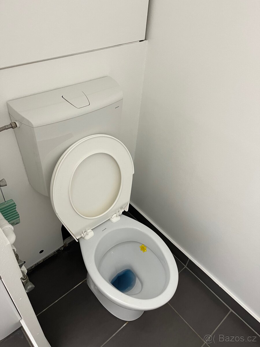 Pronájem bytu 1+1 Smiřice - 9