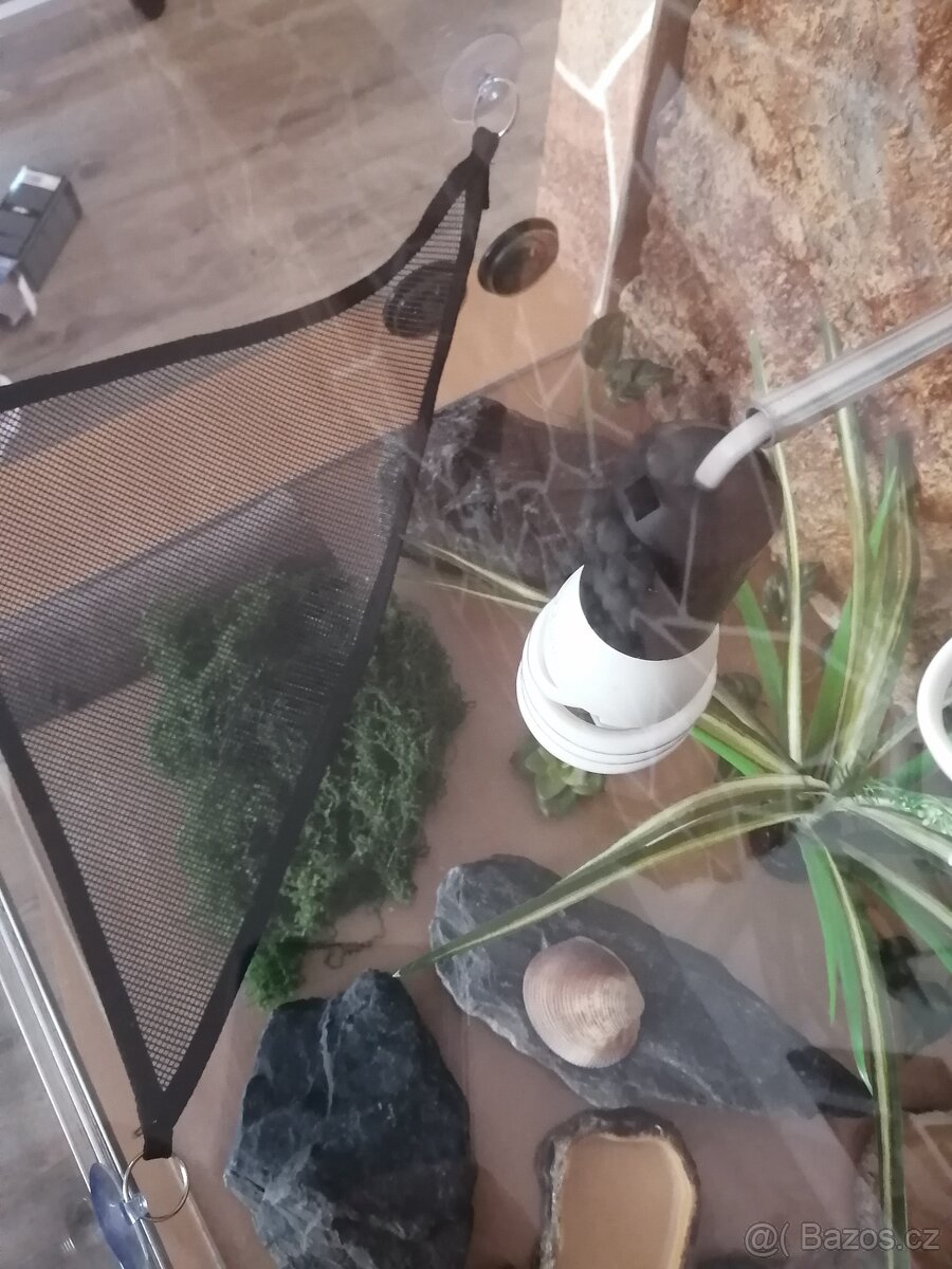 Skleněné terárium - 9