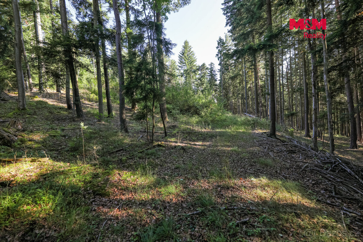 Prodej lesa, 15707 m², Petrovice u Sušice - 9