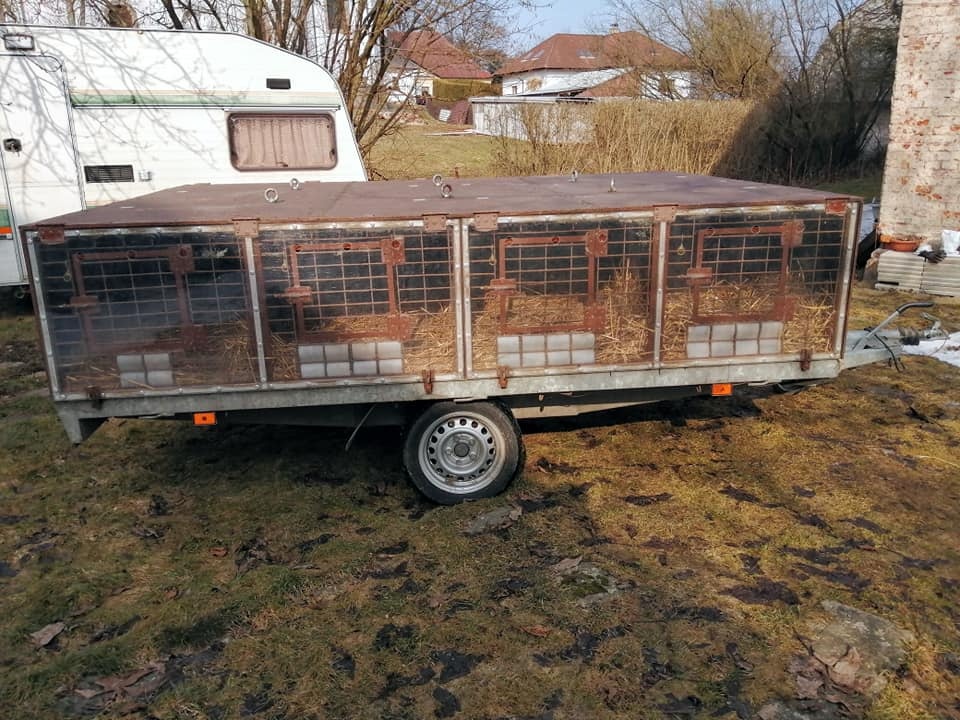 Přepravní vozík na psy - 9