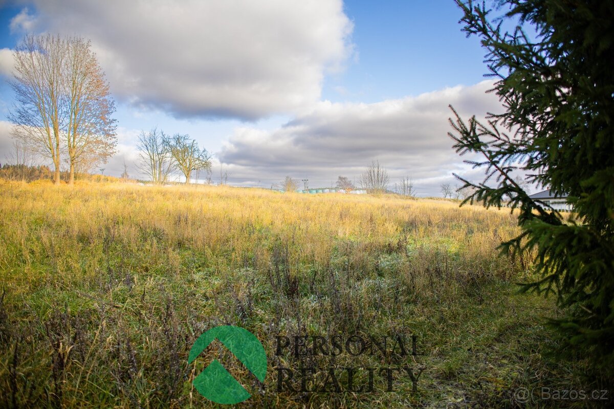 Prodej stavebního pozemku 2 768 m², Drevníky, ev.č. 02672 - 9