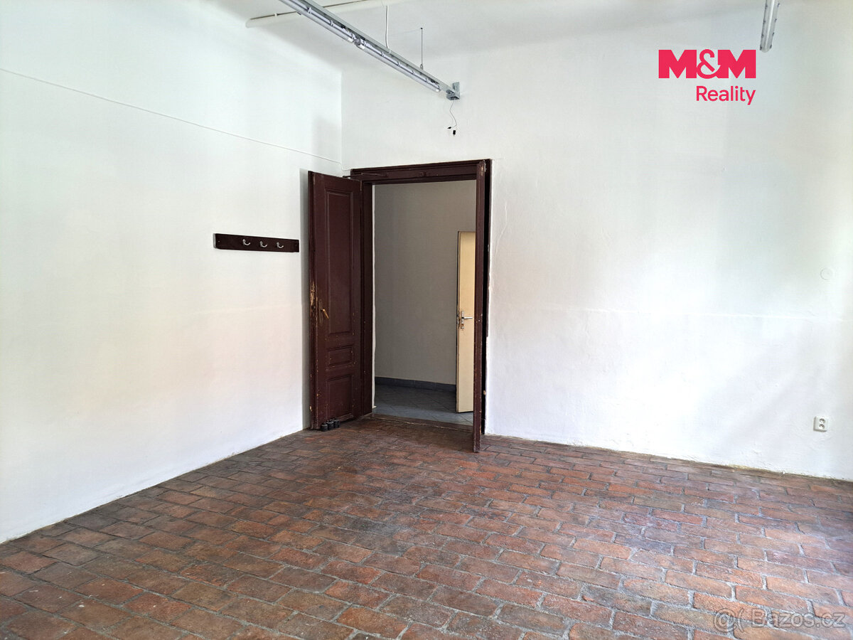 Pronájem obchodního prostoru, 221m2, ul. Riegrova, Brno - 9