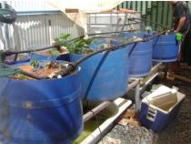 Prodám plastové sudy MAUSER obsah 220l možno vice kusu - 9